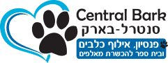 סנטרל בארק אריק פיבקו
