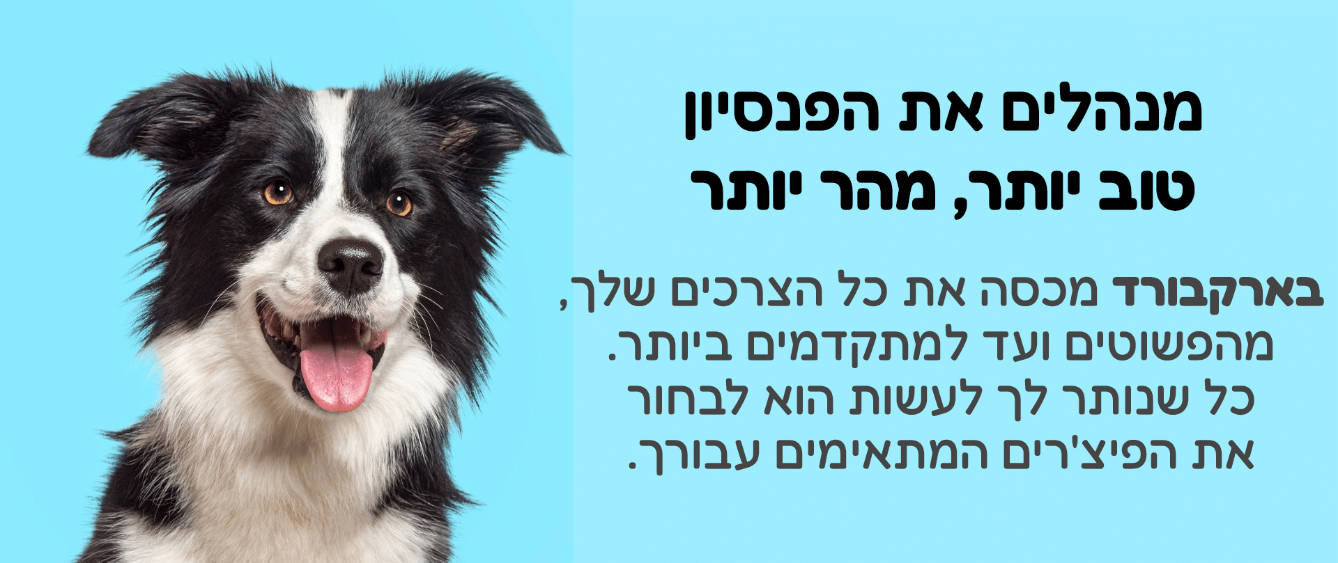 barkboard בארקבורד ניהול פנסיון כלבים